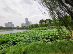 -后襄河公园