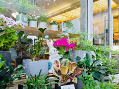 -卓花境Flowerwonderland花店