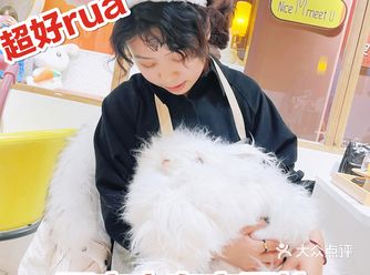 西安探店｜西安也有安哥拉巨兔馆啦