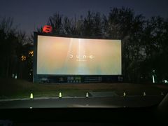 -枫花园汽车电影院(朝阳公园店)