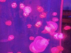 -石林冰雪海洋世界