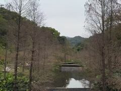 -云溪植物园