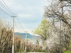 -棋盘山风景区