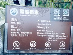 -都江堰中华大熊猫苑