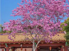 -天竺岩寺