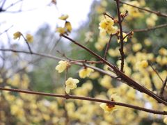 -白塘生态植物园