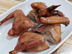 -东鸽皇(奥园·中环广场店)