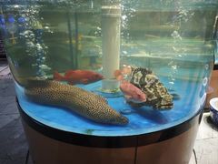 -琼菜人家·海南菜·文昌鸡(文昌大道店)