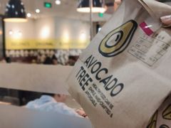 -油梨树 AVOCADO TREE(亮马桥店)