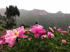 -公盂村