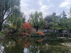 -秋霞圃