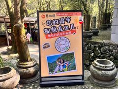 -富春桃源风景区