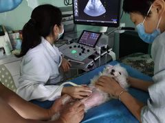 -达爱动物医院·犬猫分区·CT·复杂眼科(远洋山水分院)