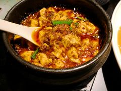 金牌麻辣豆腐-陈麻婆豆腐总店