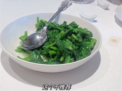 五粮液嫩豆苗-玫瑰厅上海菜(兴国路店)