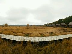 -塞罕坝国家级自然保护区