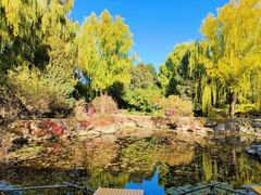 -三忘湖 SWANSEEN(柳荫公园店)