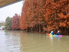 -上海海湾国家森林公园