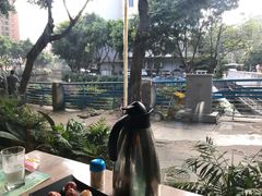 -探窝·竹笙椰子鸡(杨箕店)