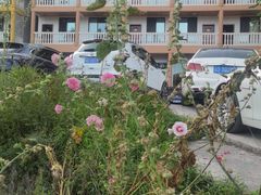 -武陵山森林公园