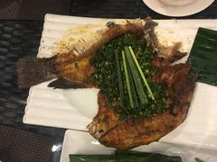 -滇越乘象云南餐厅(豆各庄店)