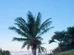 -雾山韩式烤肉·海南糟粕&椰子鸡火锅·海景餐厅(三亚绿发山海天JW万豪酒店)