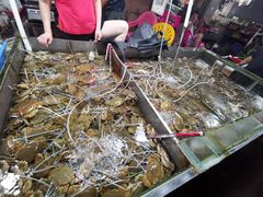 -都斛海鲜街