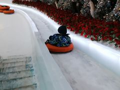 -世界之窗阿尔卑斯冰雪世界