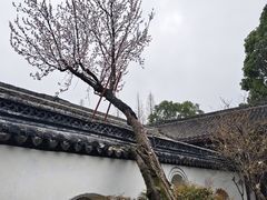 -太平天国侍王府