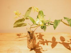 -绣园·茶食宴(湘绣博物馆店)