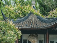 -苏州文庙(姑苏区)