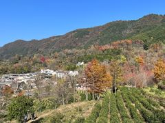 -塔川景区