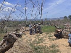 -亲兄弟真人CS团建拓展基地