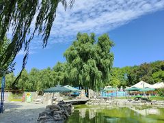 -朝阳公园游乐园