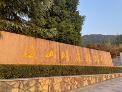 -铁山坪森林公园