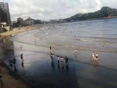 -胜海大排档·海鲜·黄鳝饭(十年老店)