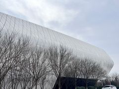 -抱抱地球咖啡馆(国家海洋博物馆店)
