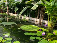 -国家植物园南园