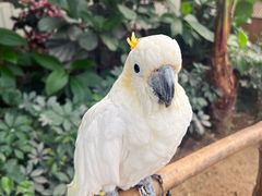 -南宫五洲植物乐园