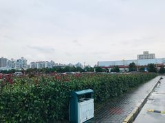 -复旦大学附属华山医院北院-停车场