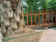 -龙达温泉生态城
