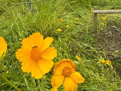 -昆山城市生态森林公园