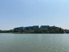 -华侨城湿地公园