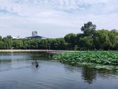 -长春世界雕塑园冰雪艺术天地