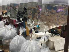 -华声天桥民俗文化园