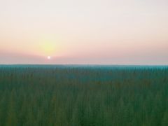 -黄海国家森林公园