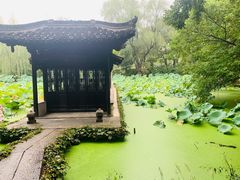 -盆景园(扬州大运河文化旅游度假区)