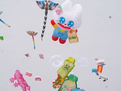 -潍坊滨海云门国际风筝放飞场