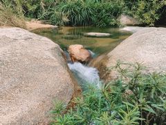 -海南热带雨林国家公园吊罗山景区