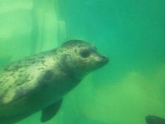 -多彩贵州城极地海洋世界